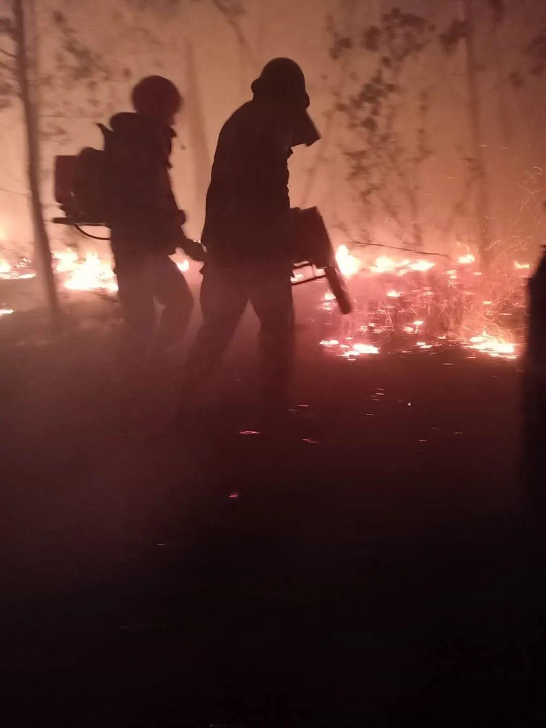 1585705180131285.jpeg 82bbff51cdd84bc1803b02912fa5b5b6.jpeg